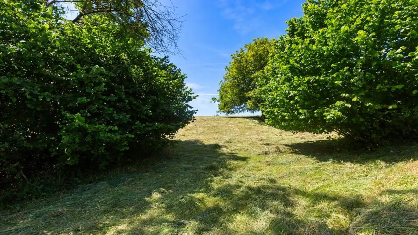 Terrain constructible à vendre - 5304 Endingen - Photo 4