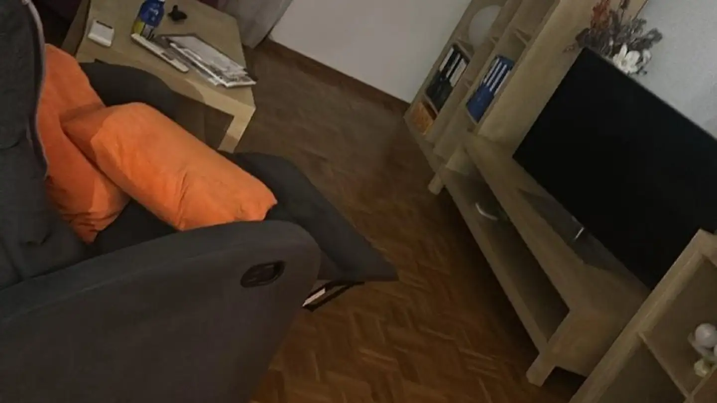 Apartment for rent - 6674 Someo - Photo 3