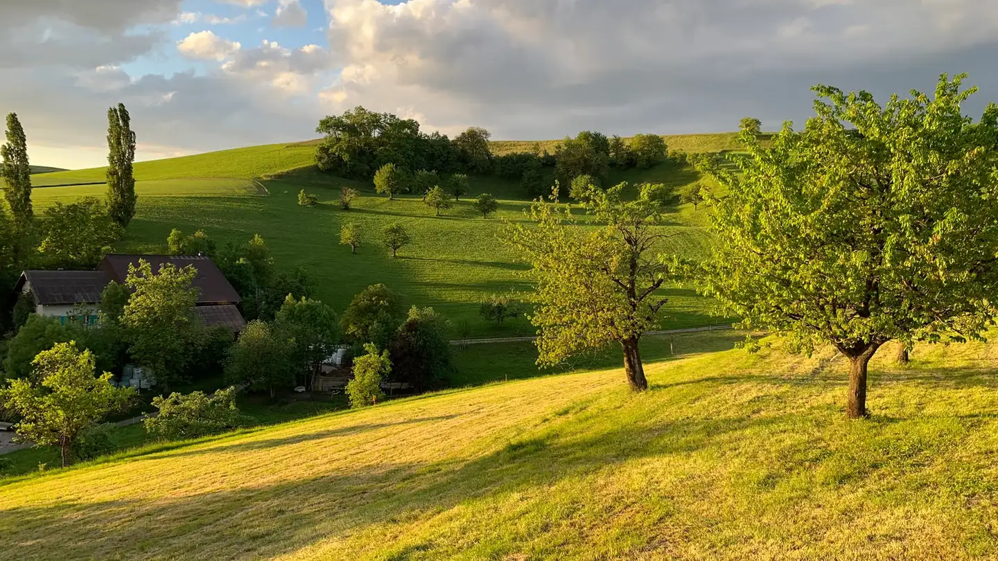 Single room for rent - Weidweg, 4445 Häfelfingen - Photo 4