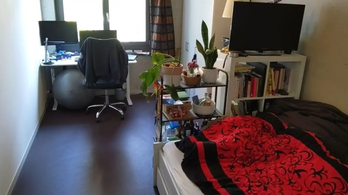 Single room for rent - Genossenschaftsstrasse 13, 8050 Zürich - Photo 3