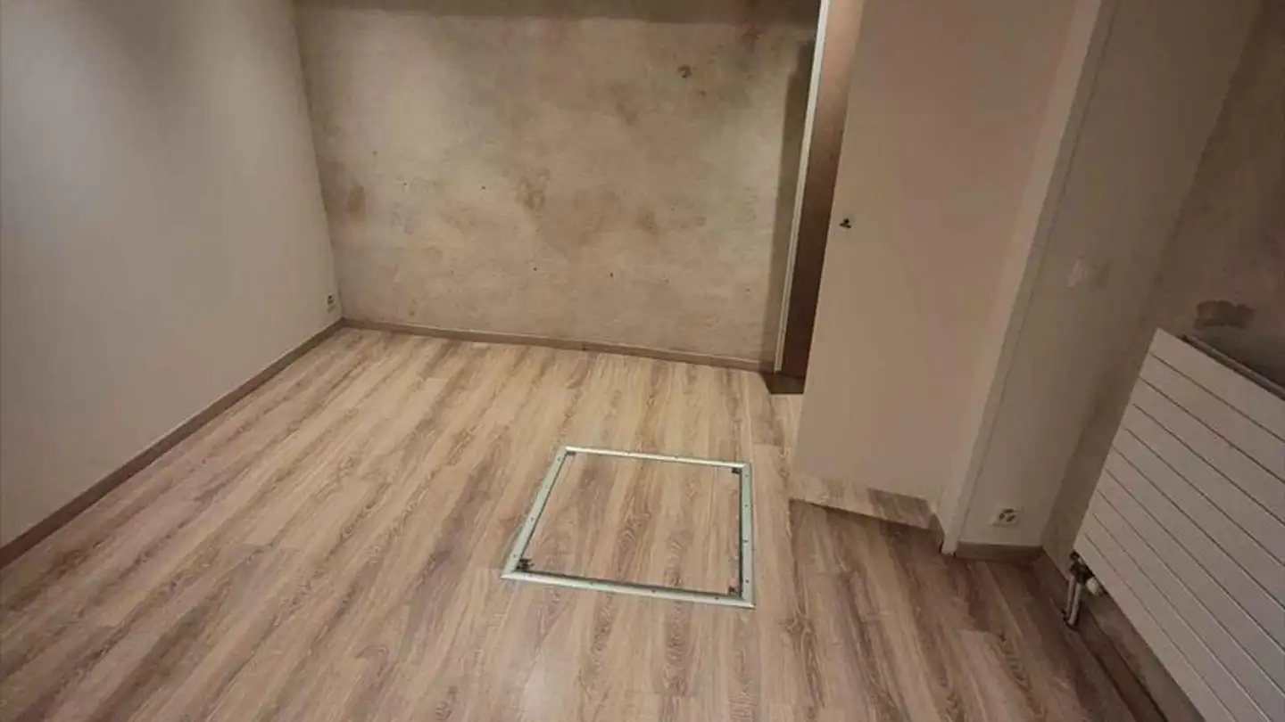 Portico in affitto - Rue De Genève 44, 1225 Chêne-Bourg - Photo 3