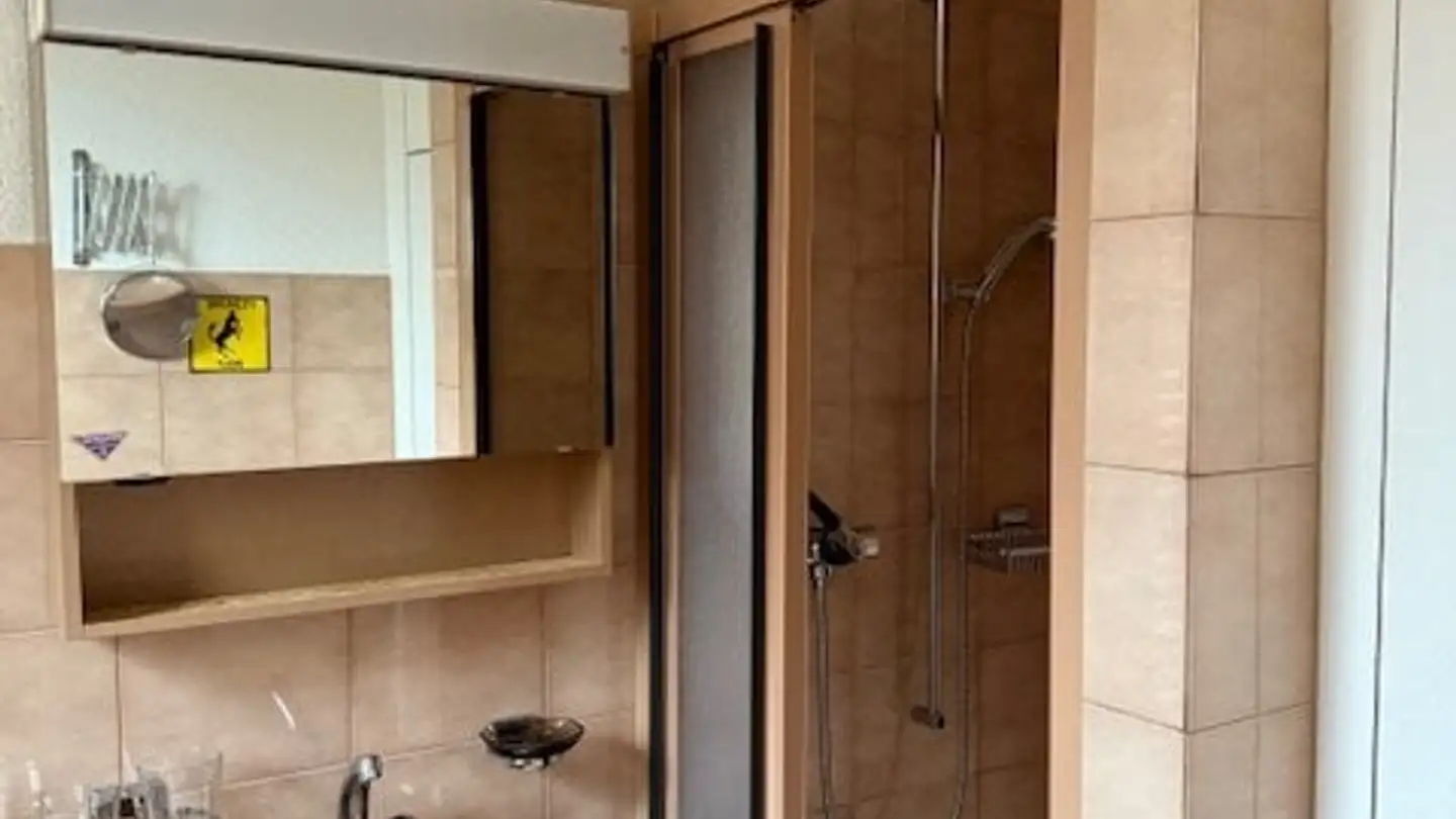 Einfamilienhaus kaufen - Neubergstrasse 34, 8212 Neuhausen am Rheinfall - Foto 4