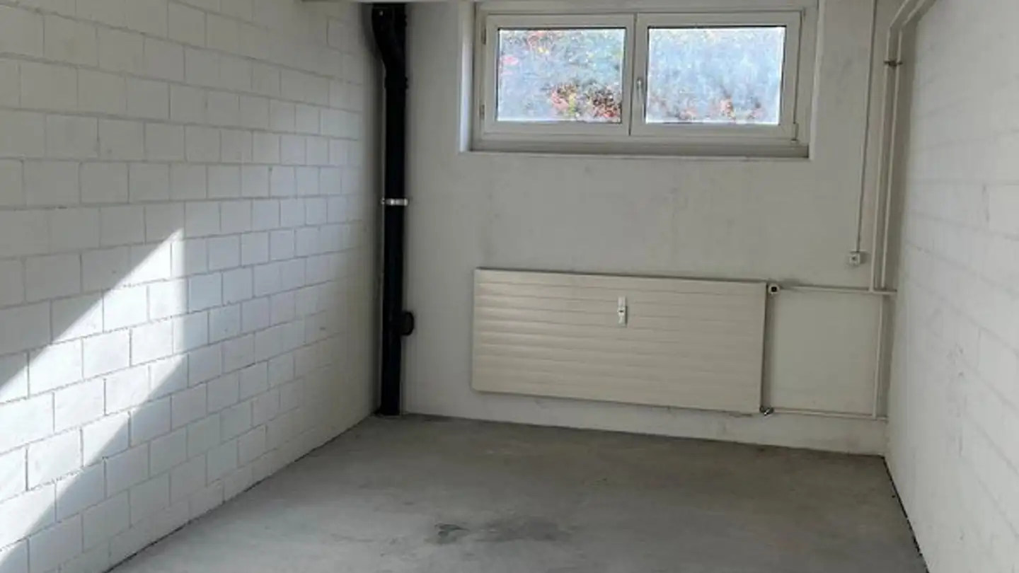 Espace de stockage à louer - Wiedenweg 6, 4153 Reinach BL