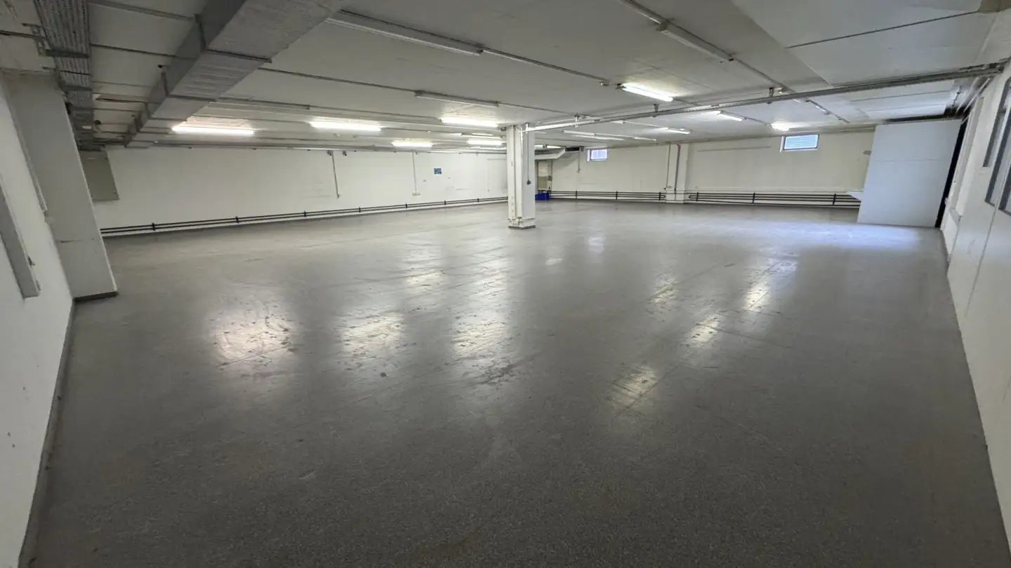 Spazio di archiviazione in affitto - Pfeffingerring, 4147 Aesch BL - Photo 3