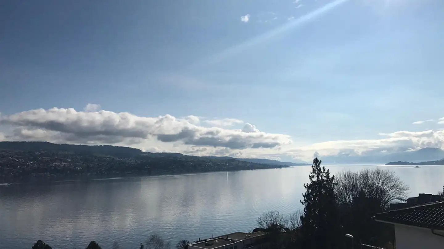 Appartamento in affitto - Tischenloostrasse 21, 8800 Thalwil - Foto 2