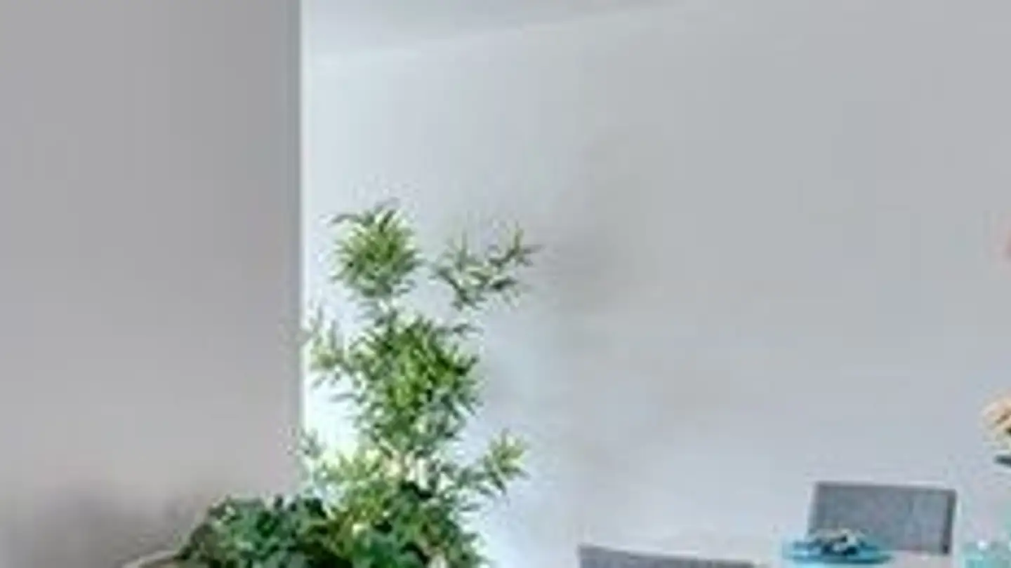 Appartement à louer - Steinweg 14, 3250 Lyss - Photo 3