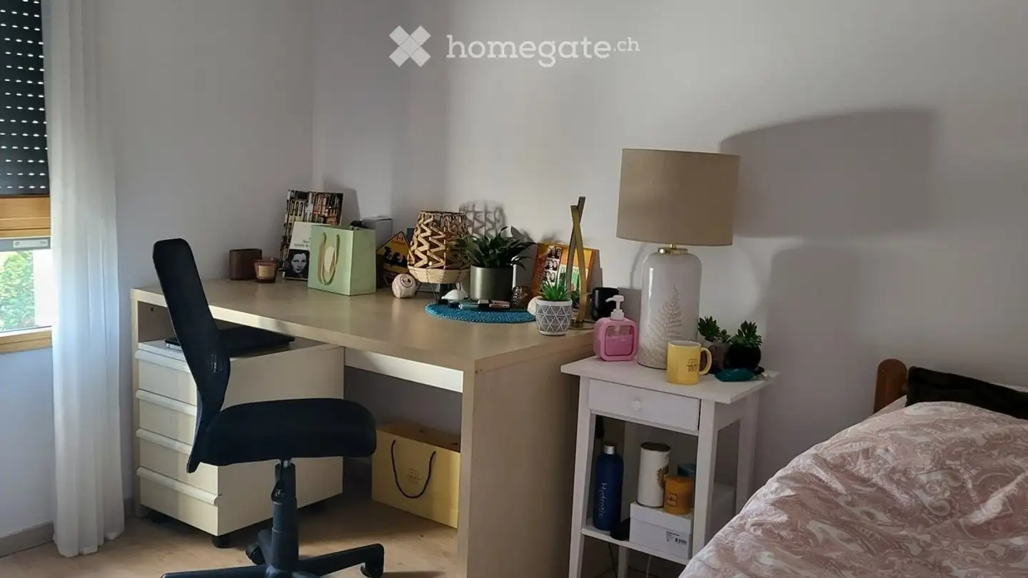 Single room for rent - Rue François-Jacquier, 1225 Chêne-Bourg