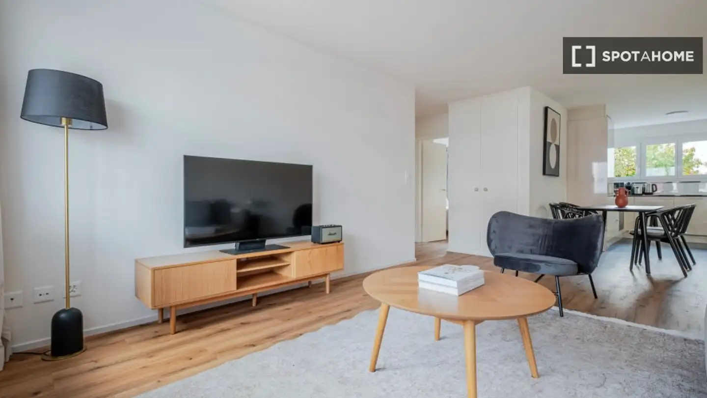 Apartment for rent - 8953 Dietikon