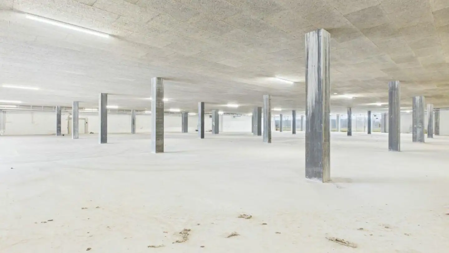 Immeuble industriel à vendre - Industrie Nord 33, 5643 Sins - Photo 3