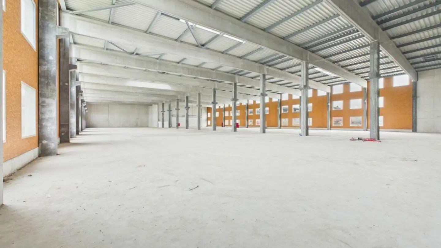 Immeuble industriel à vendre - Industrie Nord 33, 5643 Sins - Photo 4