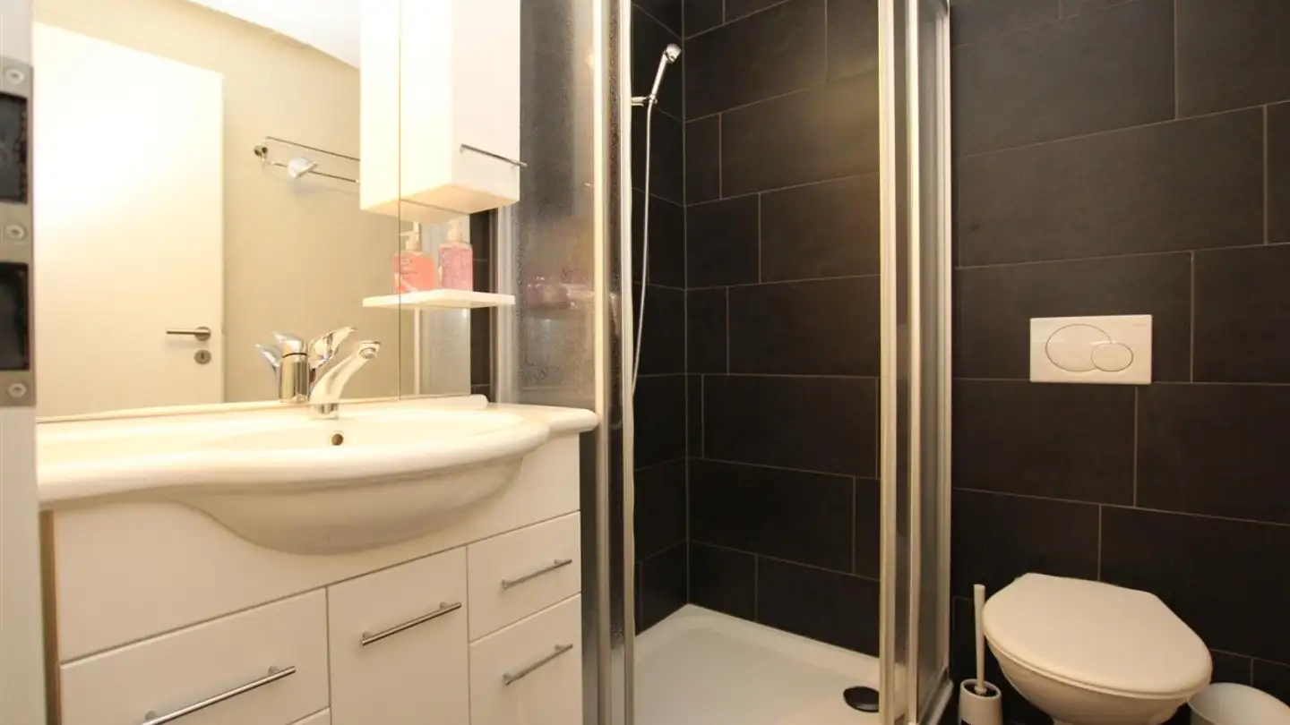 Furnished apartment for rent - Rue De Montbrillant 21, 1201 Genève - Photo 4