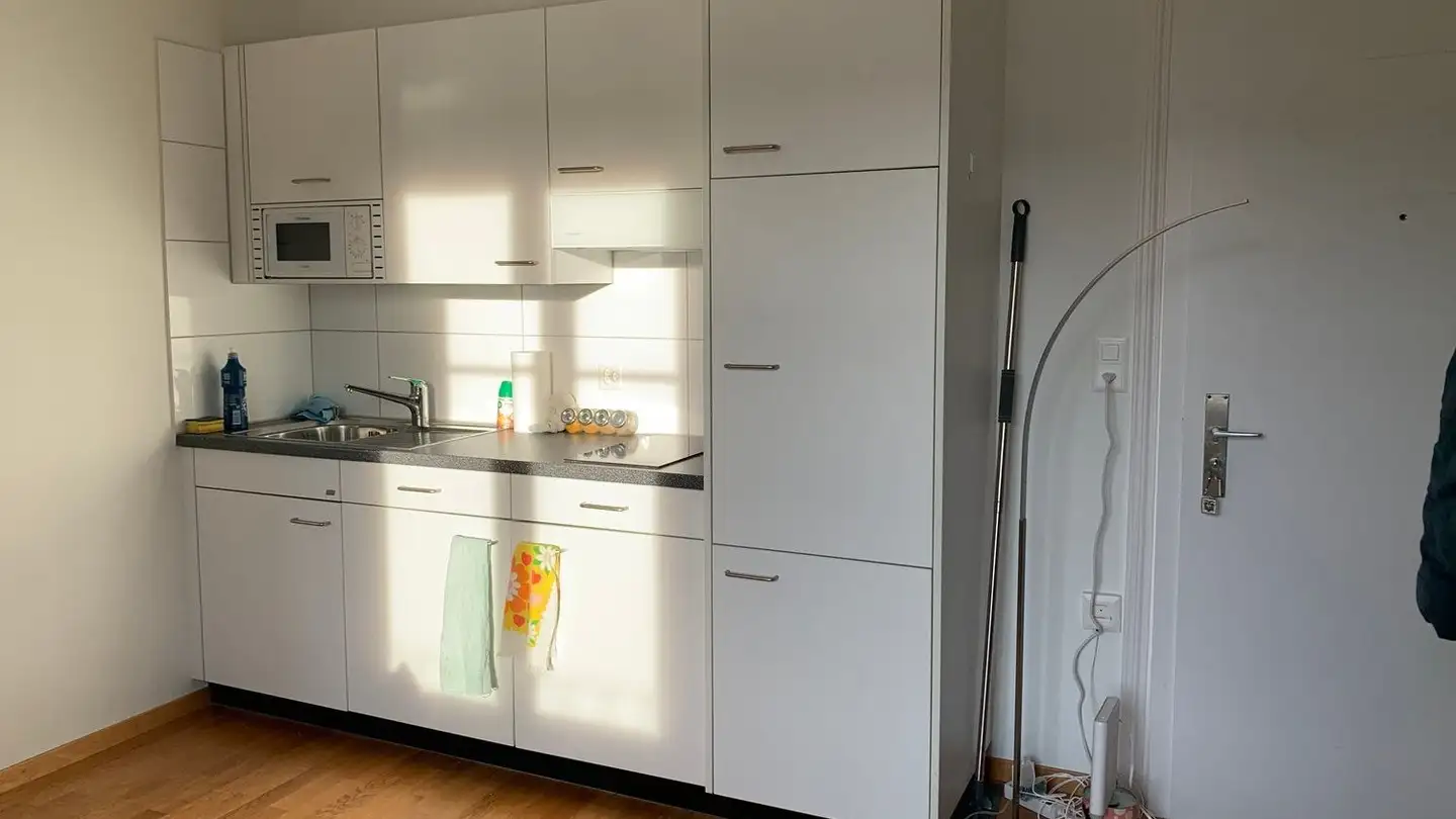 Studio for rent - Dorfstrasse 132, 8802 Kilchberg ZH - Photo 3