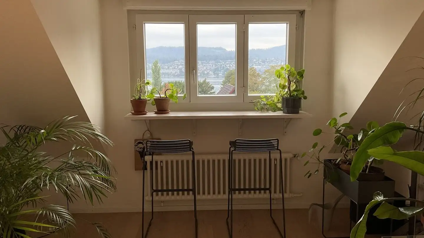 Appartamento in affitto - Seestrasse 5, 8703 Erlenbach ZH