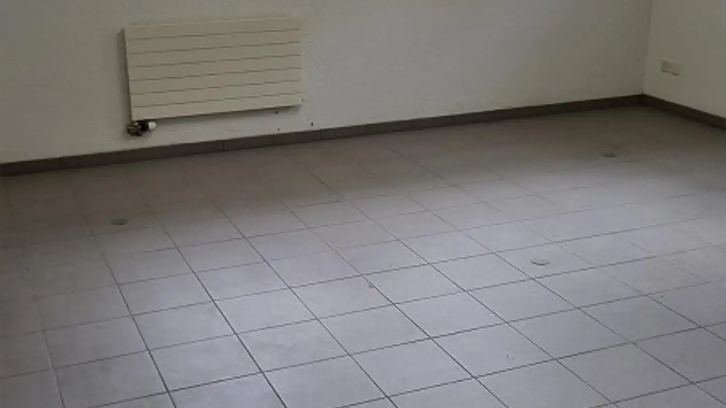 Atelier à louer - Karl-Völker-Strasse 2, 9435 Heerbrugg - Photo 3