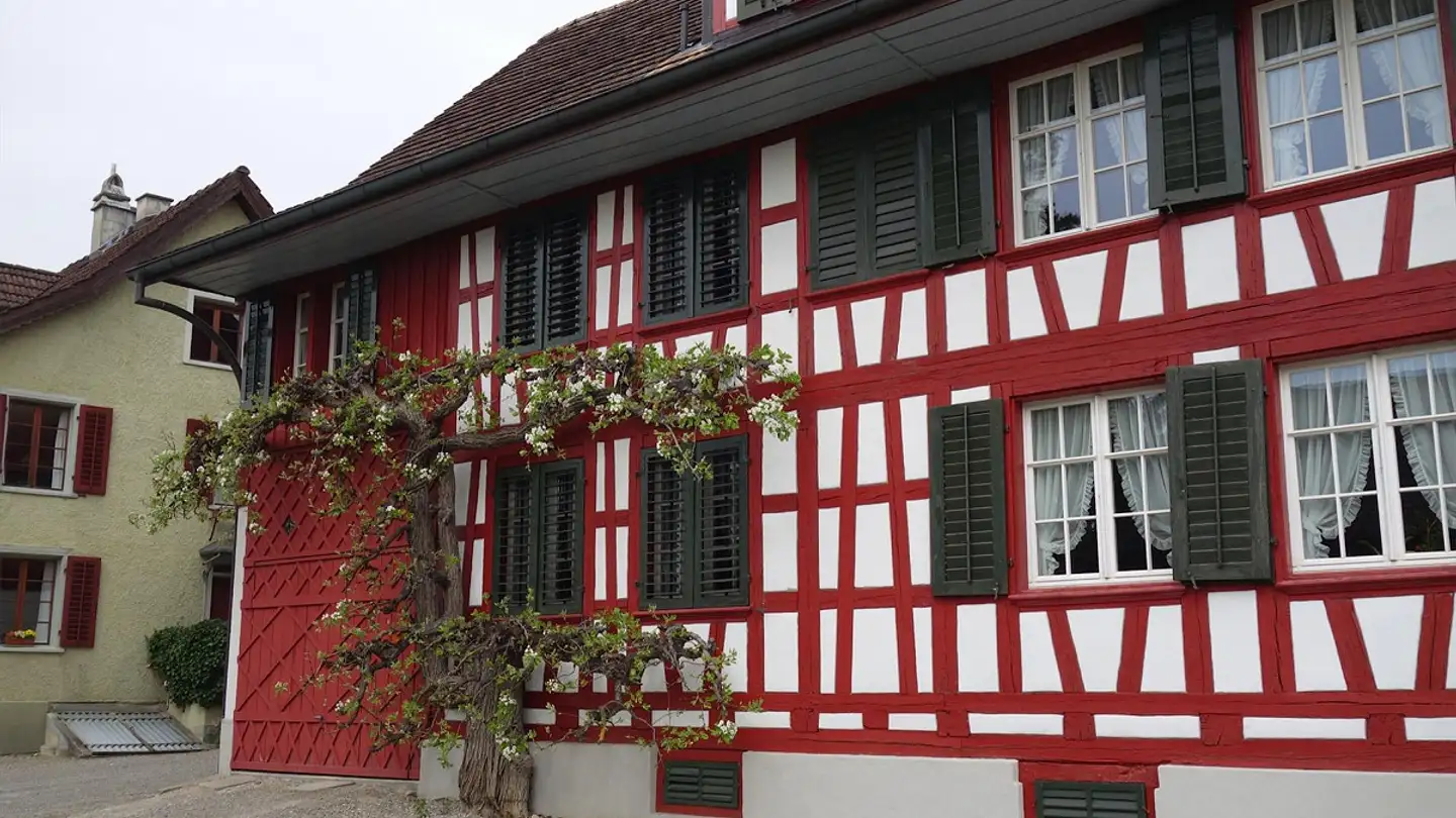 Appartement à louer - Untere Weinbergstrasse 8, 8570 Weinfelden