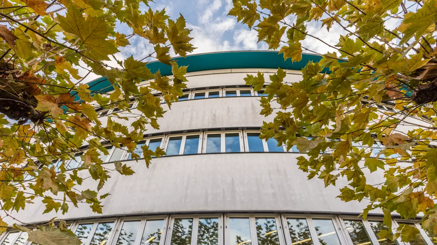 Office space for rent - Soodstrasse 52c, 8134 Adliswil