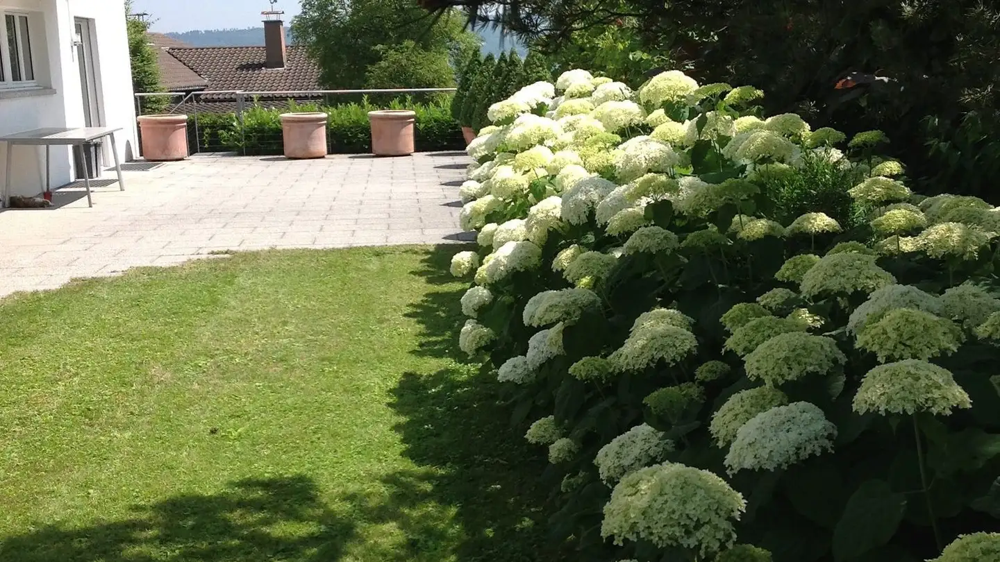 Einfamilienhaus mieten - 8800 Thalwil - Foto 2