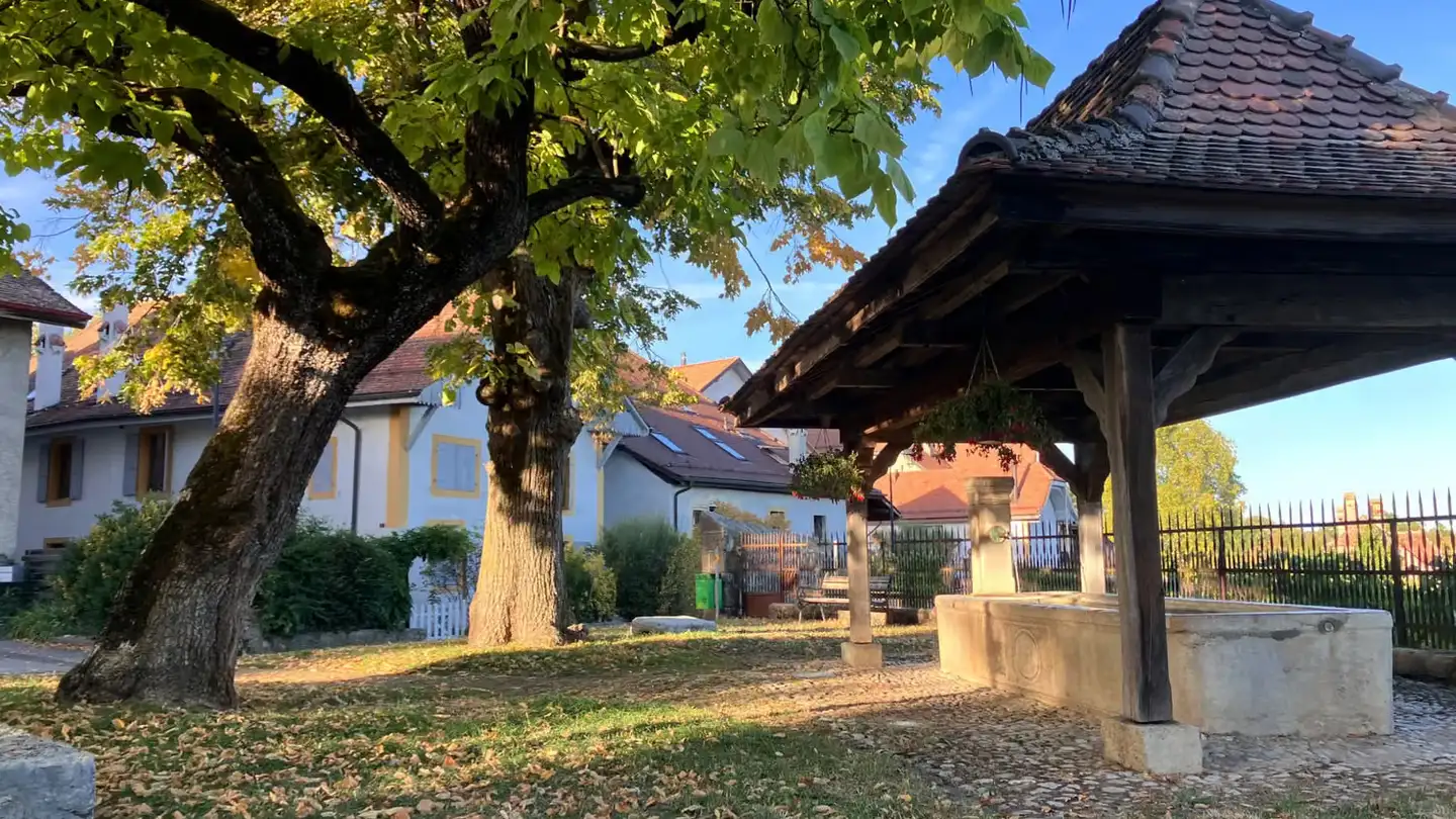 Appartamento in affitto - 1358 Valeyres-sous-Rances