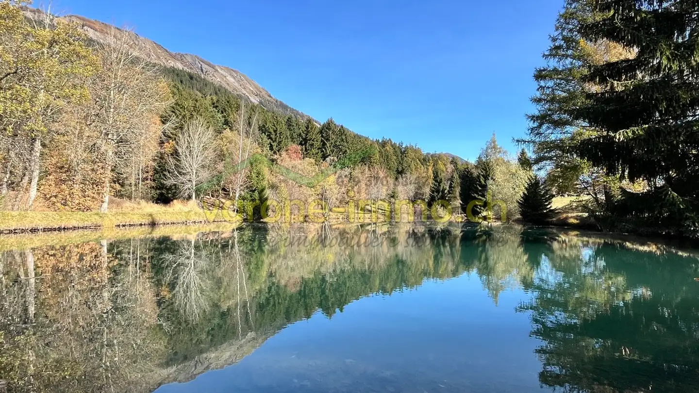 Wohnung kaufen - 1965 Savièse