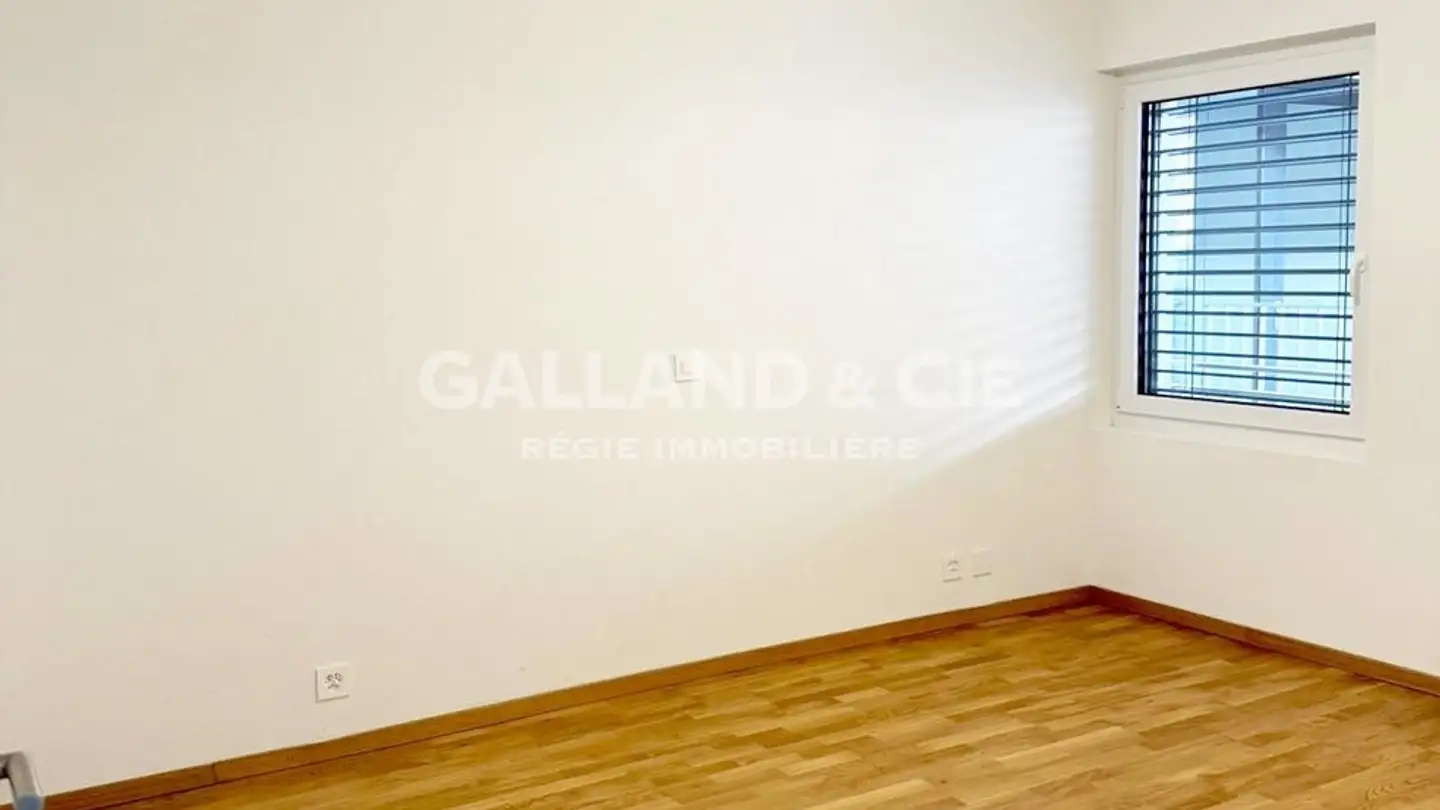 Apartment for rent - Rue De Gottefrey, 1907 Saxon - Photo 4