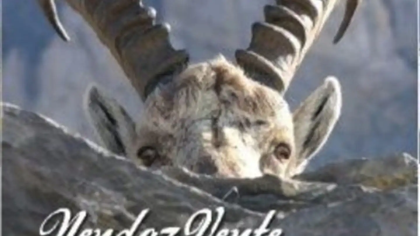 Office space for sale - Route De La Pèroua, 1997 Haute-Nendaz