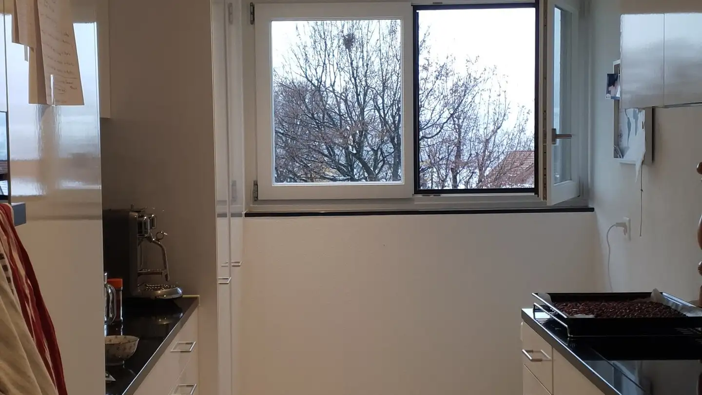 Appartamento ammobiliato in affitto - 8810 Horgen - Foto 4