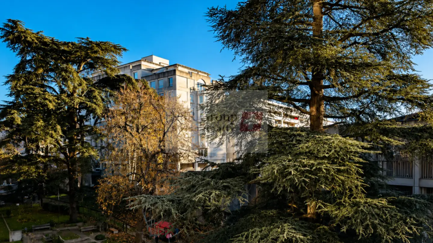 Wohnung kaufen - 1206 Genève