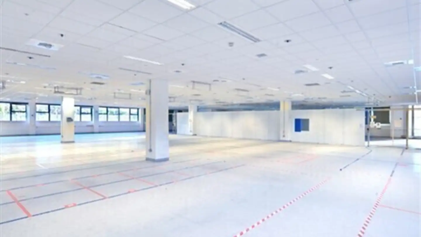 Commercial for rent - 6934 Bioggio