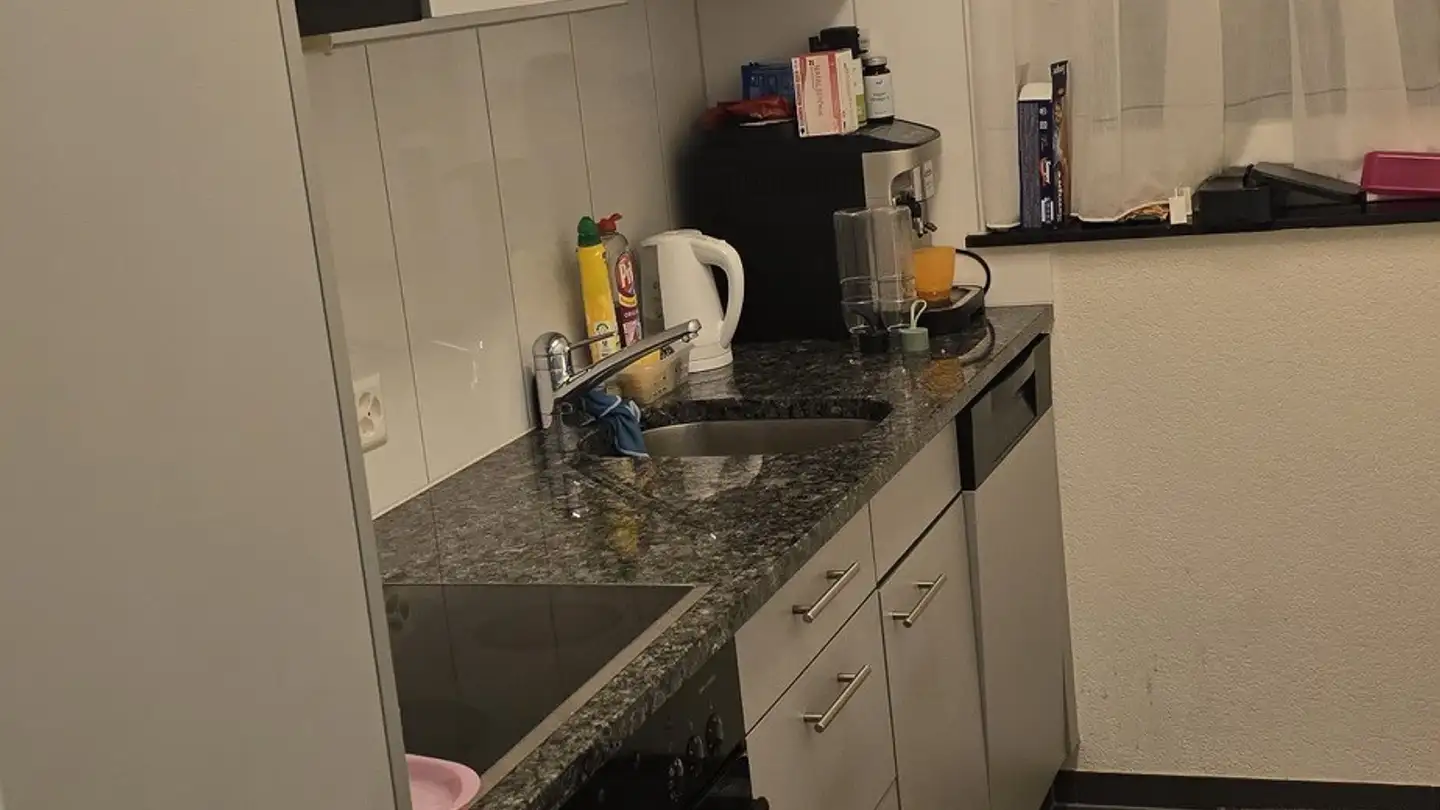 Appartement à louer - Buchholzstrasse 95g, 3604 Thun - Photo 2