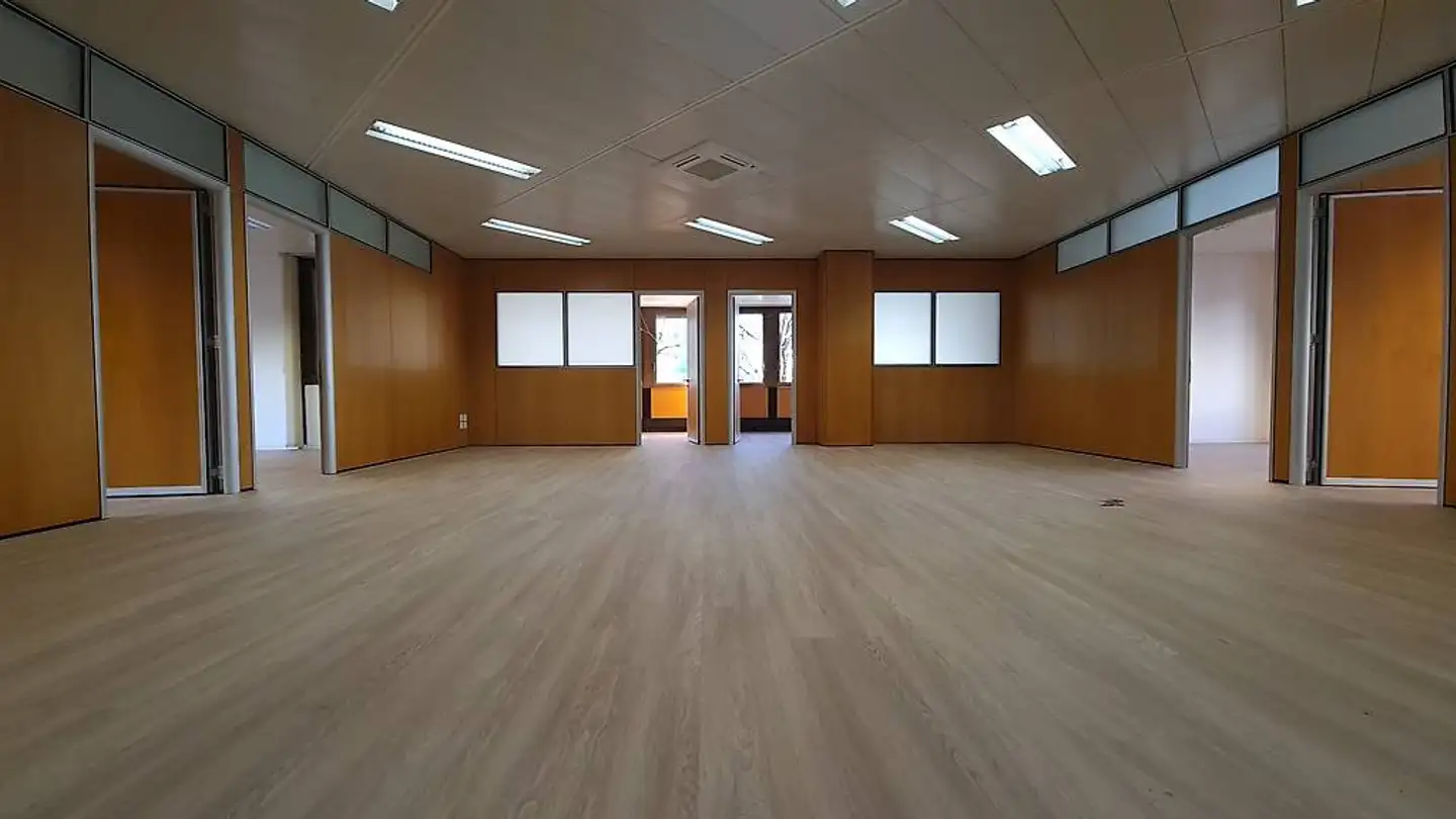 Gewerbe mieten - Via Giuseppe Cattori 3, 6900 Paradiso