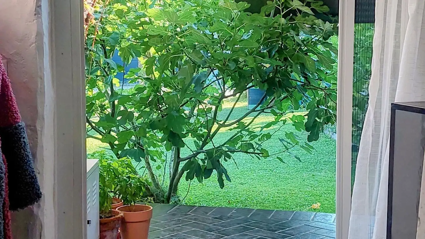 Duplex à louer - Chilenackerstrasse 14, 4654 Lostorf