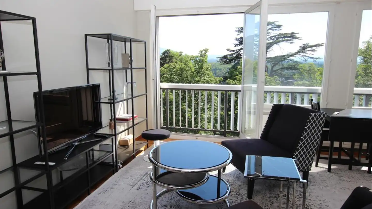 Furnished apartment for rent - Chemin Des Crêts-De-Champel 30, 1206 Genève - Photo 2