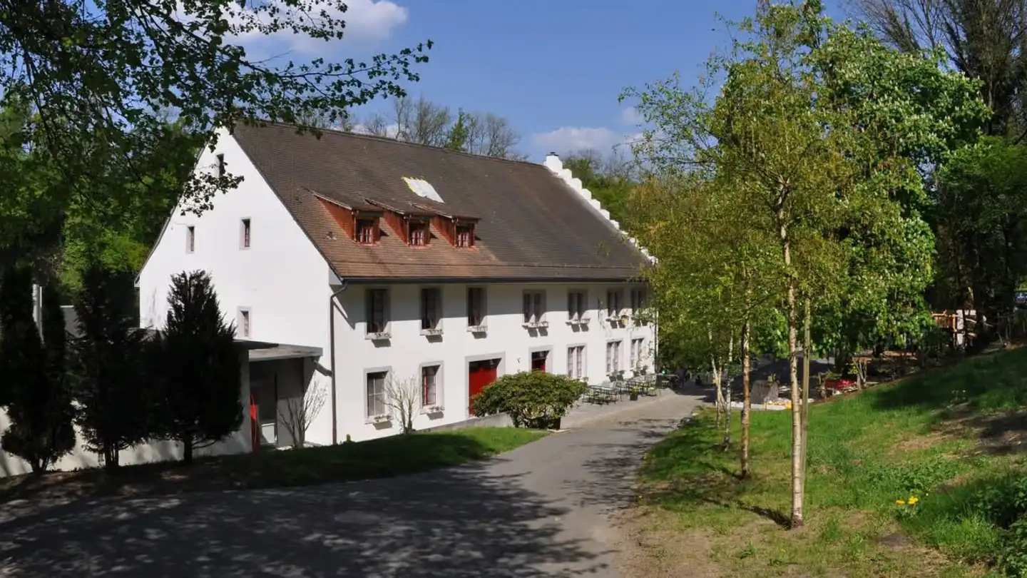 Single room for rent - Mülirain 1, 5243 Mülligen