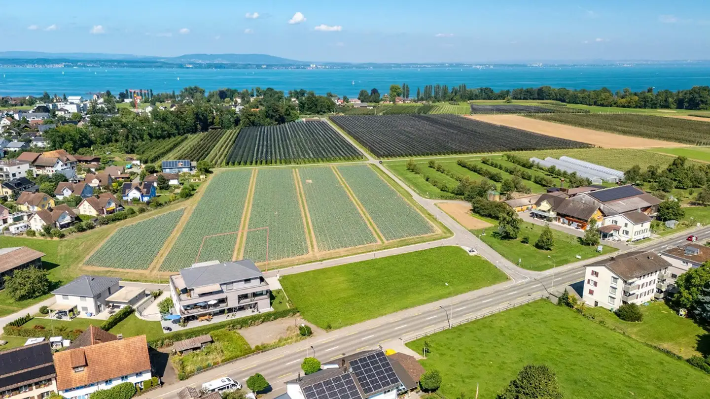 Constructible plot for sale - 8594 Güttingen - Photo 2