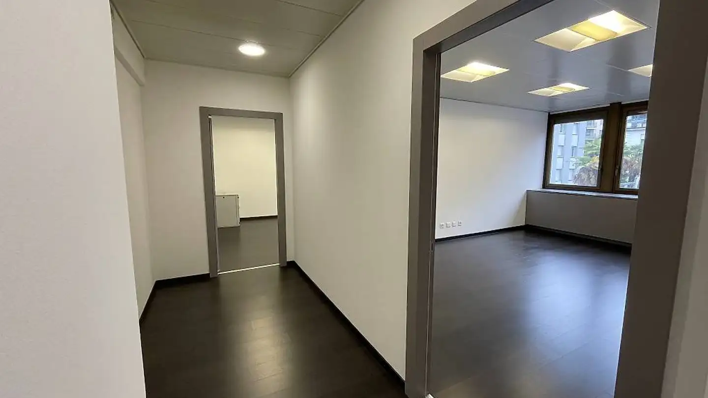 Gewerbe mieten - Via Giuseppe Cattori 3, 6900 Paradiso - Foto 3