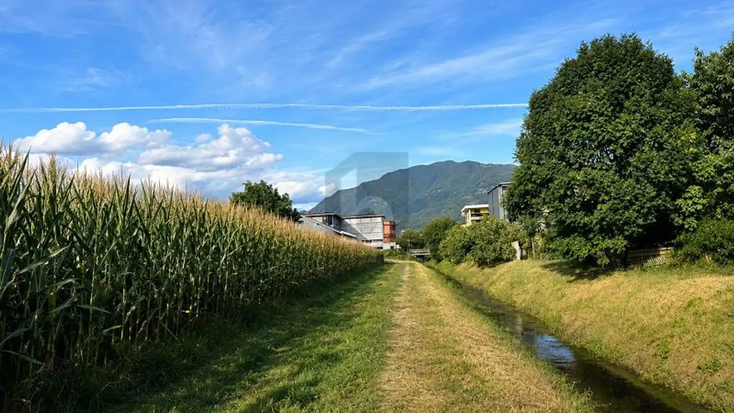 Terreno edificabile in vendita - 6592 S. Antonino - Foto 4