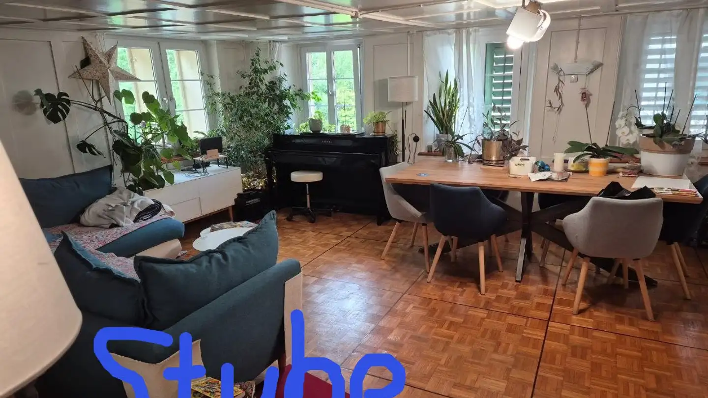 Apartment for rent - 8344 Bäretswil