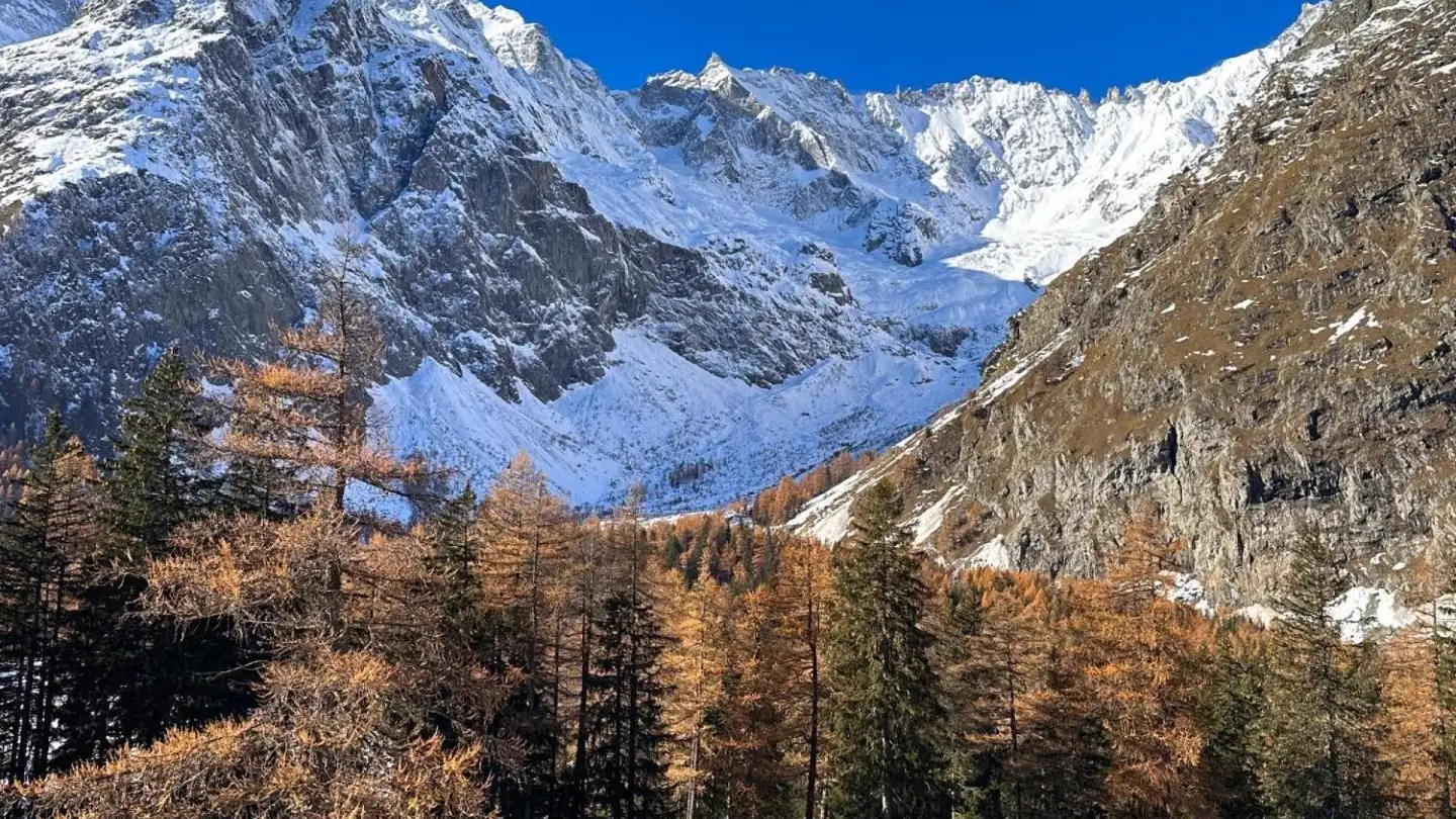 Wohnung mieten - Route De Ferret 1, 1944 La Fouly VS - Foto 2