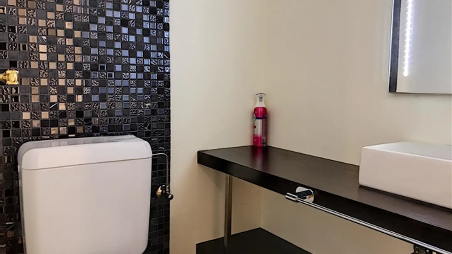 Apartment for rent - Route De Commugny 4, 1296 Coppet - Photo 4