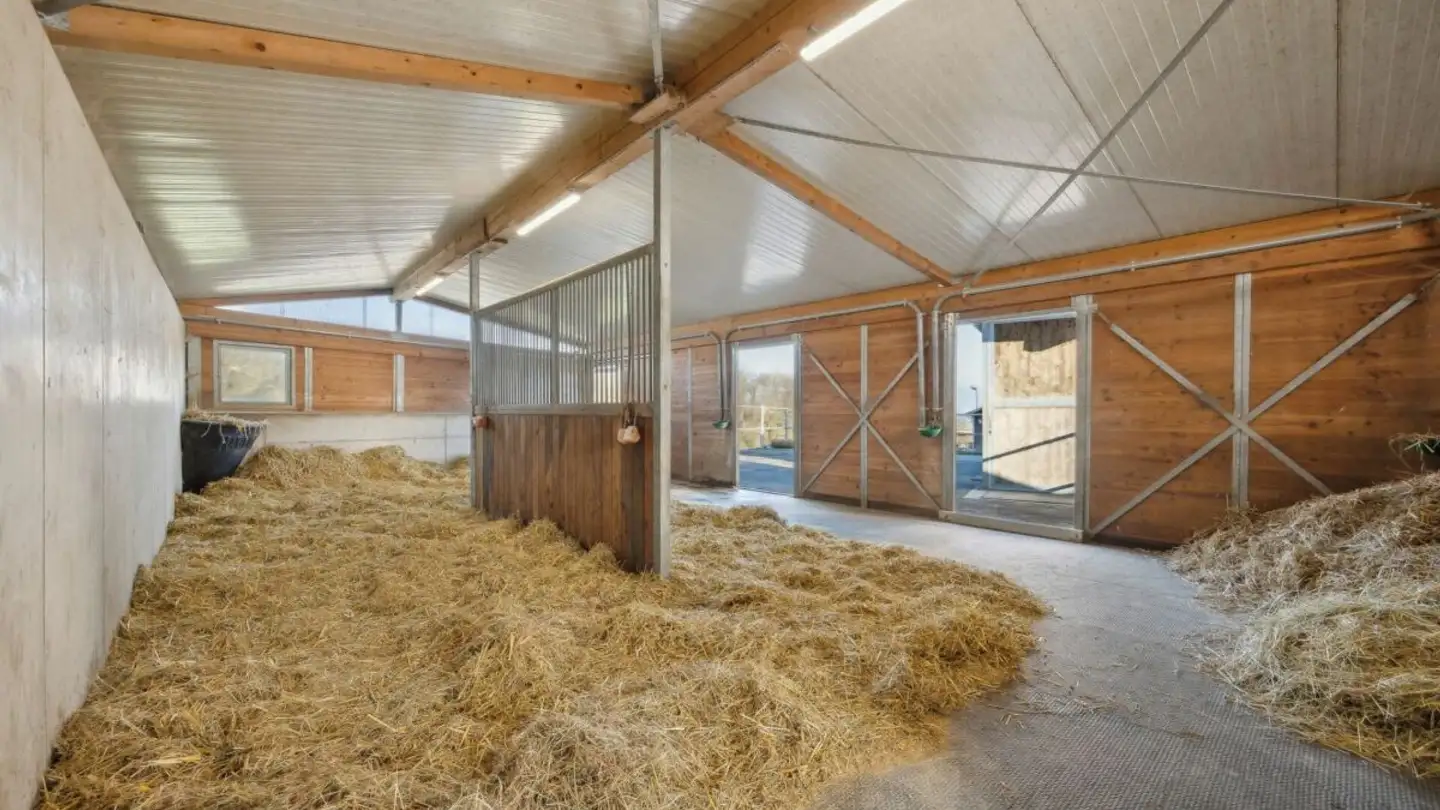 Ferme à vendre - Wolfgrubenstrasse 52, 5742 Kölliken - Photo 4