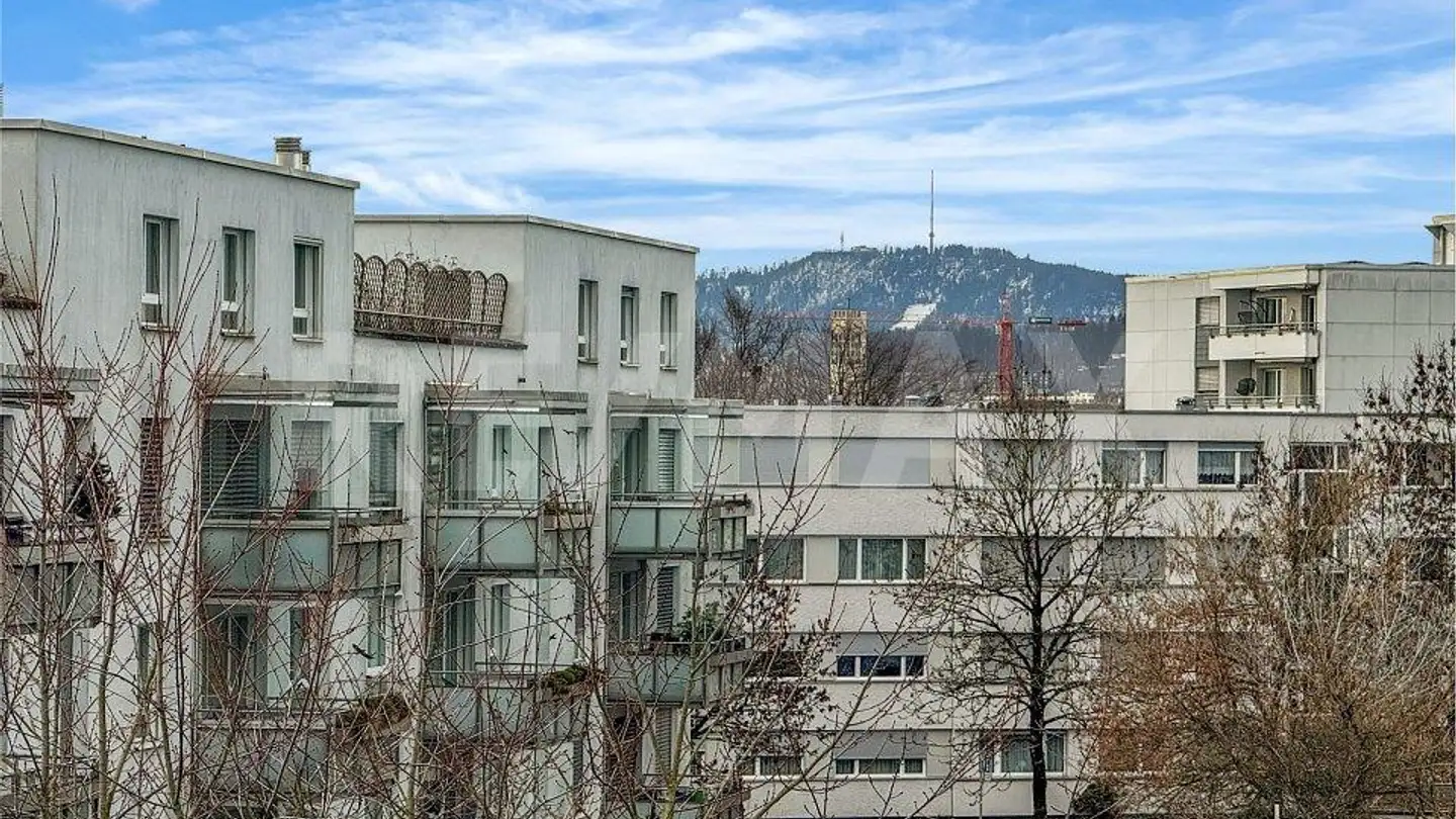 Apartment for sale - Schaffhauserstrasse 637, 8052 Zürich - Photo 2