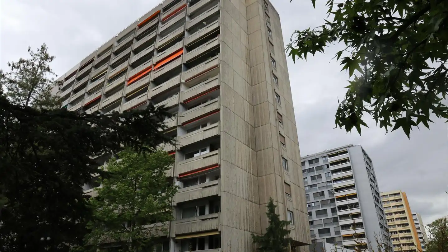 Garage singolo in affitto - Avenue Ernest- Pictet 16, 1203 Genève