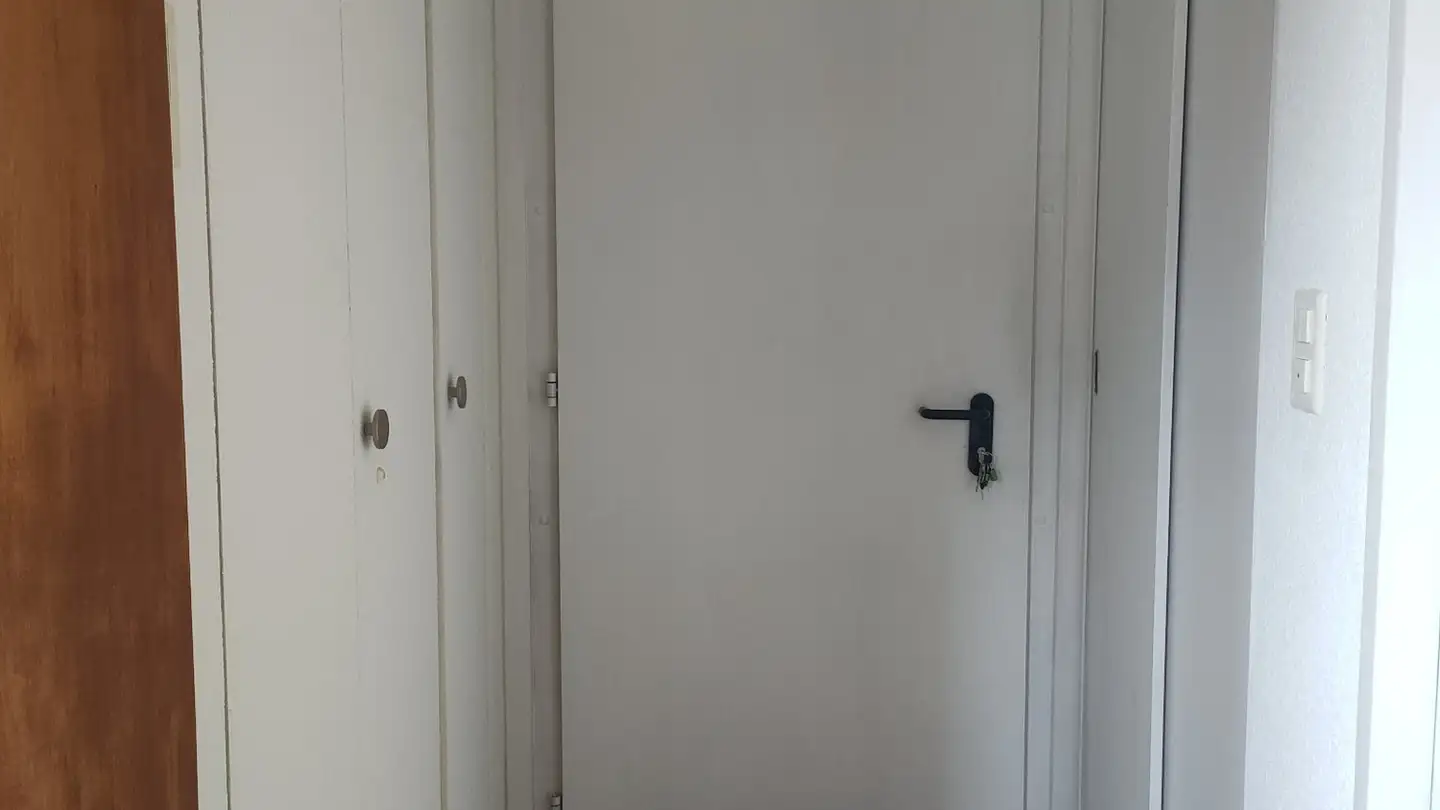 Appartamento in affitto - Rue De La Dixence, 1950 Sion - Photo 2