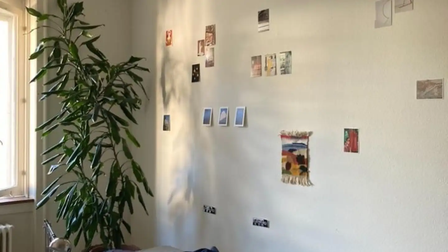 Chambre à louer - Zypressenstrasse 52, 8004 Zürich - Photo 3