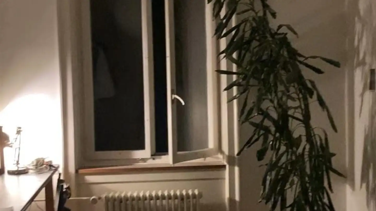 Chambre à louer - Zypressenstrasse 52, 8004 Zürich