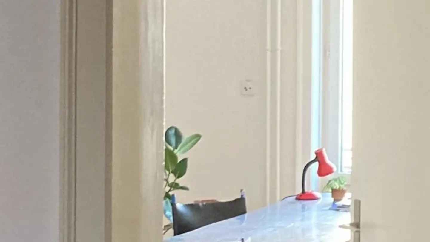 Chambre à louer - Zypressenstrasse 52, 8004 Zürich - Photo 4