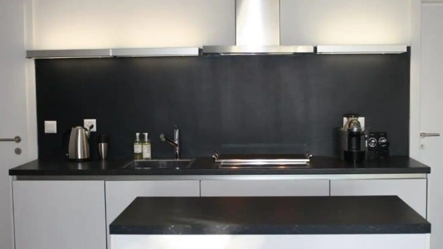 Loft in affitto - Chemin Des Sorbiers 4, 1012 Lausanne - Foto 3