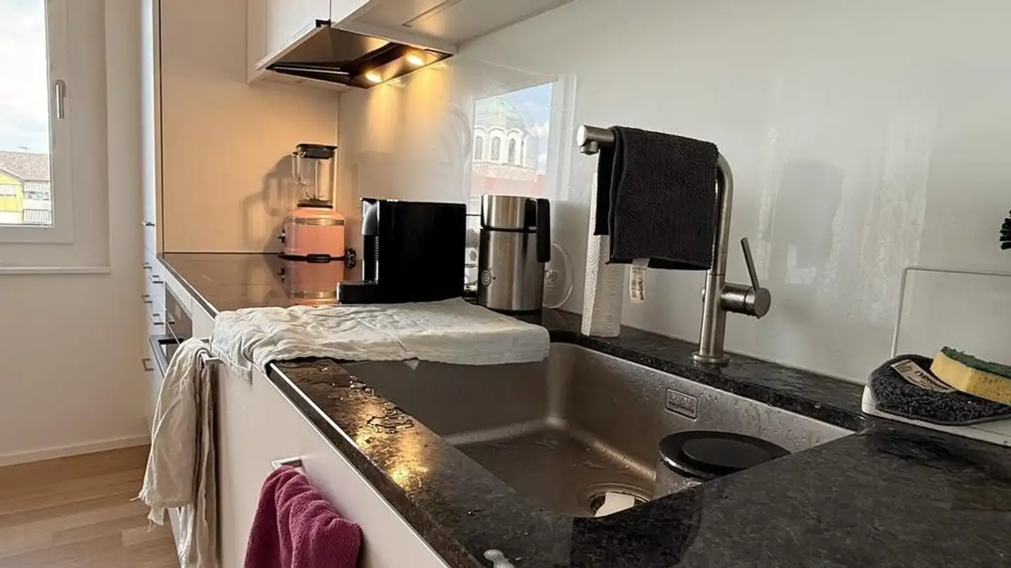 Apartment for rent - Luegislandstrasse 265, 8051 Zürich - Photo 3