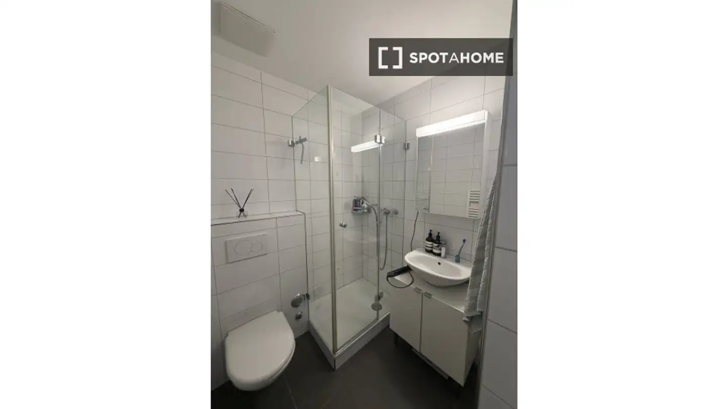 Appartement à louer - 8004 Zürich - Photo 2