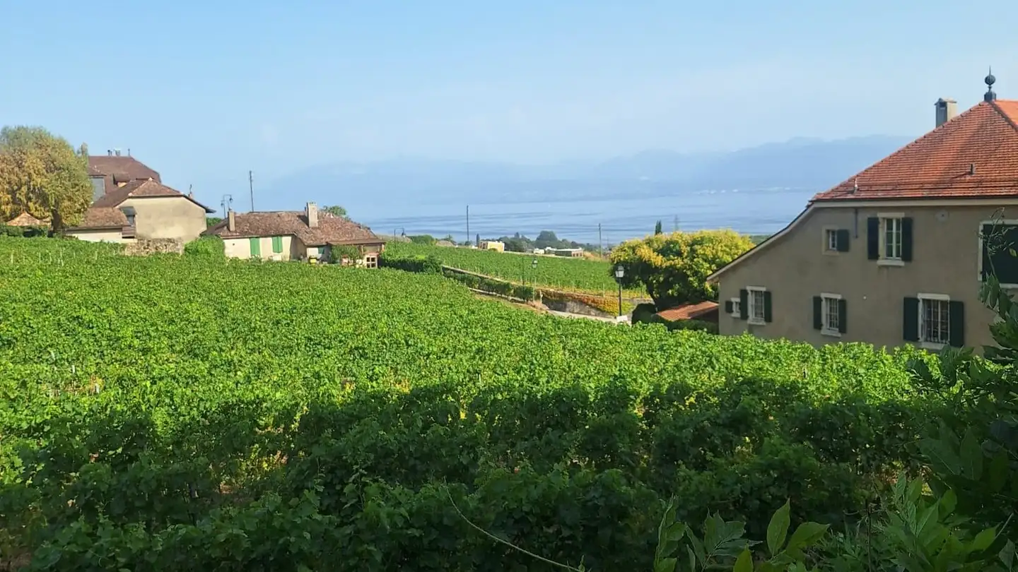 Duplex for rent - Chemin Des Truits 2, 1185 Mont-sur-Rolle